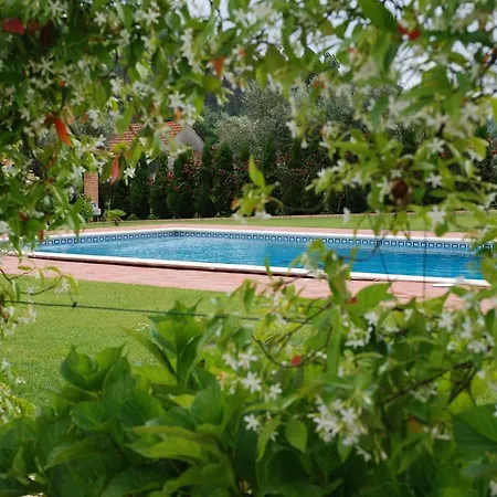 Agroturismo Quinta Dos Moinhos