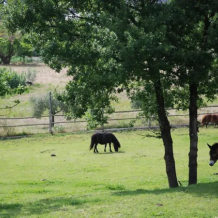 Agroturismo Quinta Dos Moinhos
