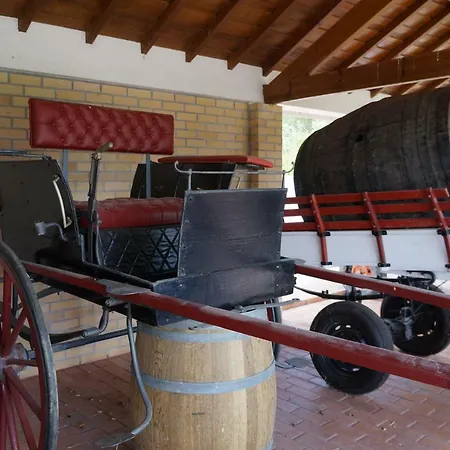 Agroturismo Quinta Dos Moinhos